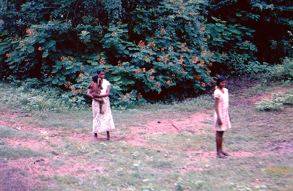 Sri Lanka Girl